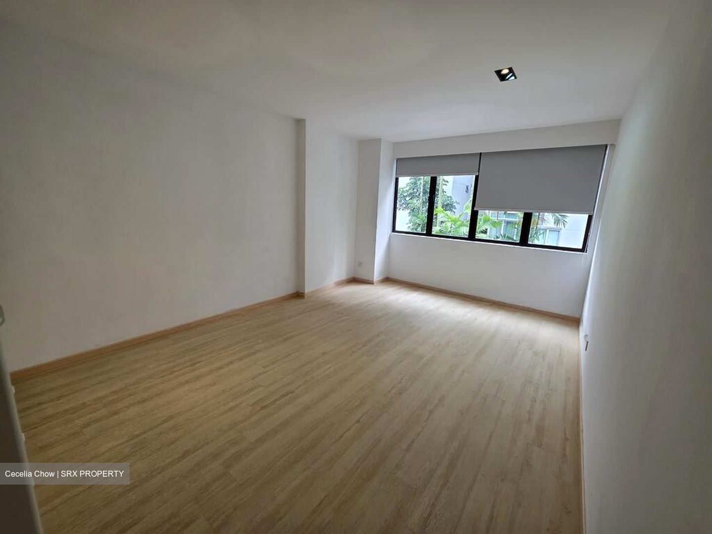 Bukit Timah Road (D21), Apartment #551260401
